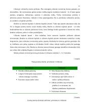 Užsienio investicijos Lietuvoje: raida ir tendencijos 11 puslapis