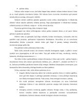 Užsienio investicijos Lietuvoje: raida ir tendencijos 13 puslapis