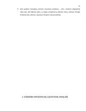 Užsienio investicijos Lietuvoje: raida ir tendencijos 14 puslapis