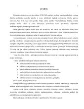 Užsienio investicijos Lietuvoje: raida ir tendencijos 3 puslapis