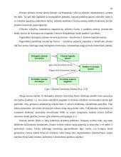 Užsienio investicijos Lietuvoje: raida ir tendencijos 10 puslapis