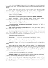 Užsienio prekybos ribojimas tarifinėmis ir netarifinėmis priemonėmis 16 puslapis