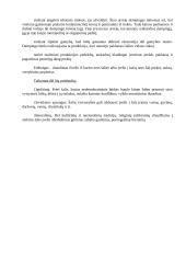 Užsienio prekybos ribojimas tarifinėmis ir netarifinėmis priemonėmis 4 puslapis