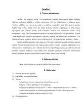 Vadyba – sena praktika, nauja teorija 3 puslapis