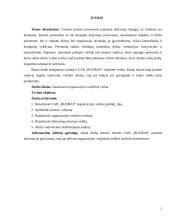 Vadybinė veiklos analizė: transporto kompanija  UAB "Bleiras"