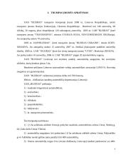 Vadybinė veiklos analizė: transporto kompanija  UAB "Bleiras" 2 puslapis