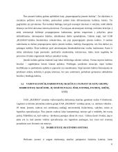 Vadybinė veiklos analizė: transporto kompanija  UAB "Bleiras" 14 puslapis
