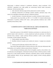 Vadybinė veiklos analizė: transporto kompanija  UAB "Bleiras" 15 puslapis