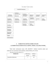 Vadybinė veiklos analizė: transporto kompanija  UAB "Bleiras" 5 puslapis