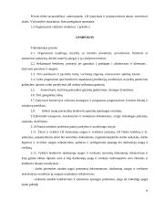 Vadybinė veiklos analizė: transporto kompanija  UAB "Bleiras" 8 puslapis