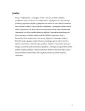 Vadybininkas - pramoginės veiklos vadovas 2 puslapis