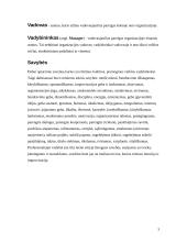 Vadybininkas - pramoginės veiklos vadovas 3 puslapis