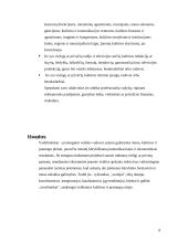 Vadybininkas - pramoginės veiklos vadovas 8 puslapis