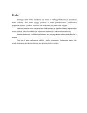 Vadybininko darbo laiko autofotografija 12 puslapis