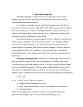 Vadybininko darbo laiko autofotografija 3 puslapis