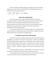 Vadybininko darbo laiko autofotografija 4 puslapis