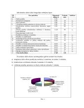 Vadybininko darbo laiko autofotografija 5 puslapis