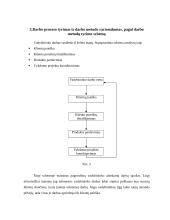 Vadybininko darbo laiko autofotografija 8 puslapis