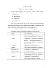 Vadybos funkcijos organizacijoje 3 puslapis