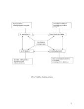 Vadybos funkcijos organizacijoje 5 puslapis