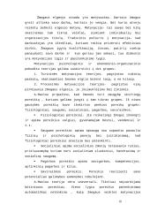 Vadybos pagrindai. Valdymas 10 puslapis