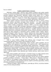 Vadybos raida Lietuvoje 3 puslapis