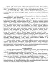 Vadybos raida Lietuvoje 4 puslapis