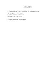 Vadybos raida Lietuvoje 10 puslapis