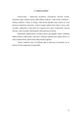 Vadybos samprata 11 puslapis