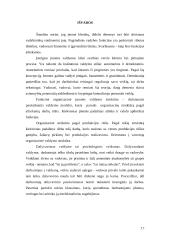 Vadybos samprata 16 puslapis