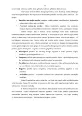 Vadybos samprata ir jos esmė 13 puslapis