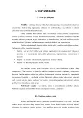 Vadybos samprata ir jos esmė 4 puslapis