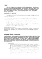 Vadybos sprendimo priėmimo etapai 4 puslapis