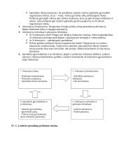 Vadybos sprendimo priėmimo etapai 5 puslapis