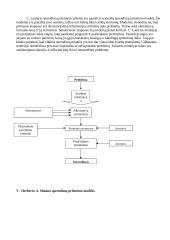 Vadybos sprendimo priėmimo etapai 6 puslapis