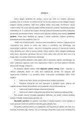 Vadybos tendencijos, globalizacija 2 puslapis