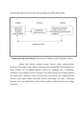 Vadybos tendencijos, globalizacija 11 puslapis