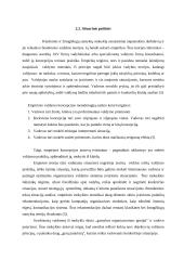 Vadybos tendencijos, globalizacija 12 puslapis