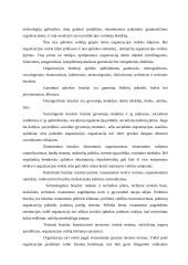 Vadybos tendencijos, globalizacija 16 puslapis