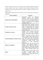 Vadybos tendencijos, globalizacija 17 puslapis