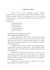 Vadybos tendencijos, globalizacija 19 puslapis