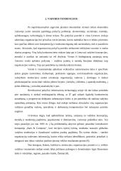 Vadybos tendencijos, globalizacija 4 puslapis