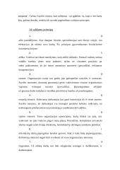 Vadybos teorijos raida 11 puslapis