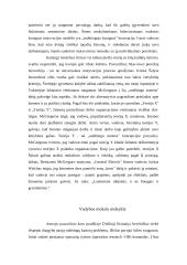 Vadybos teorijos raida 17 puslapis