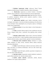 Vadybos teorijos raida 20 puslapis