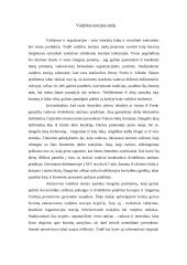 Vadybos teorijos raida 6 puslapis