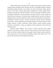 Vadybos teorijų evoliucinė prigimtis 14 puslapis