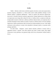 Vadybos teorijų evoliucinė prigimtis 3 puslapis