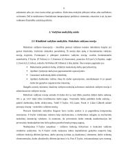 Vadybos teorijų evoliucinė prigimtis 6 puslapis