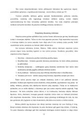 Vadybos tyrimo proceso organizavimas 12 puslapis